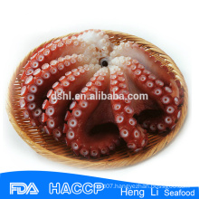Cooked octopus whole cleaned in poly bags